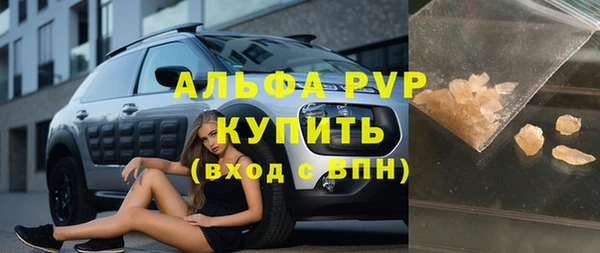 гидра Елабуга