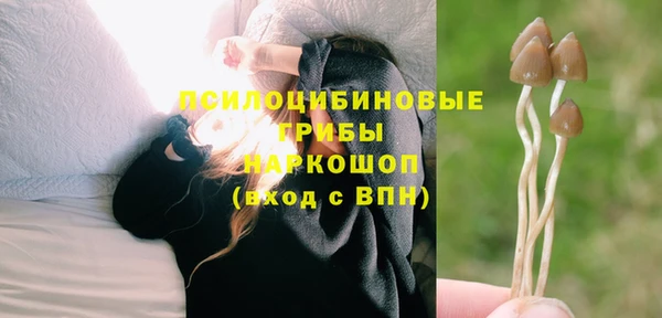 гидра Елабуга