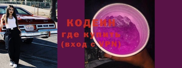 гидра Елабуга