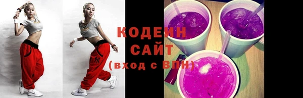 гидра Елабуга