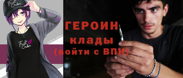 гидра Елабуга