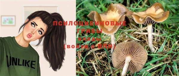 гидра Елабуга