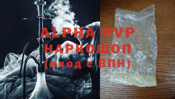 гидра Елабуга