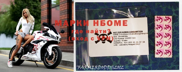 гидра Елабуга