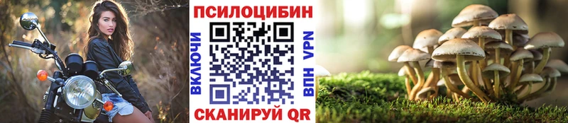 цена   Каменск-Шахтинский  МЕГА маркетплейс  Галлюциногенные грибы Psilocybe 